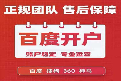 某企业SEM广告投放的ROI提升策略及效果展示