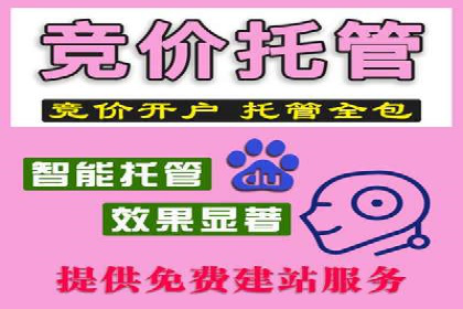 SEM竞价推广实战：优化广告投放策略提升转化率